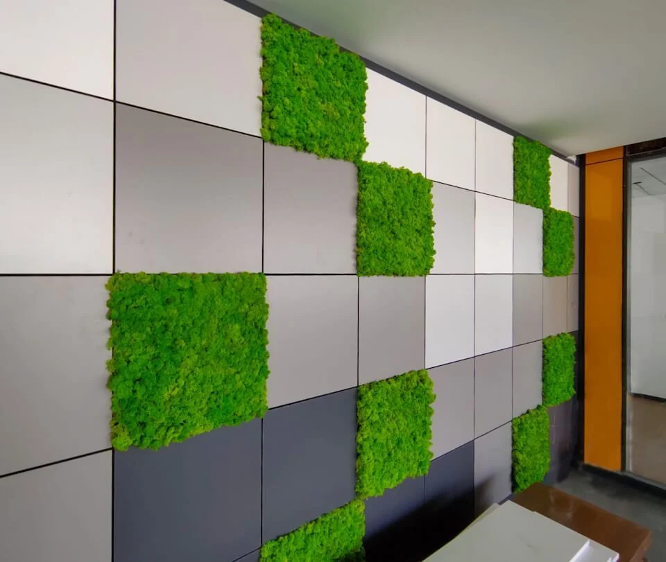EY — proje fotoğrafı 2